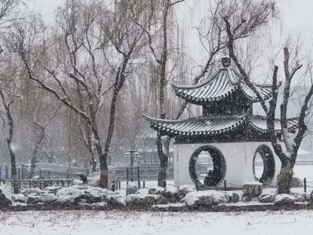 大雪節(jié)氣 | 北京市屬公園往年雪景合集(圖38)
