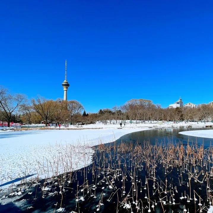大雪節(jié)氣 | 北京市屬公園往年雪景合集(圖43)