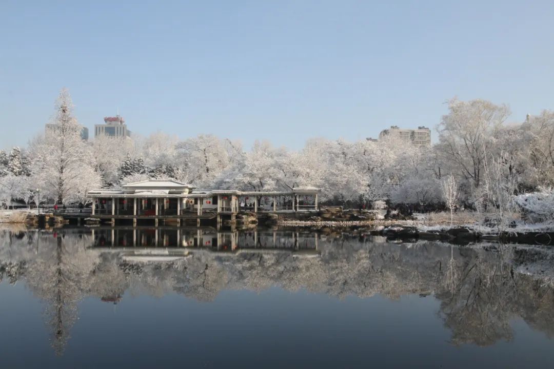 大雪節(jié)氣 | 北京市屬公園往年雪景合集(圖45)