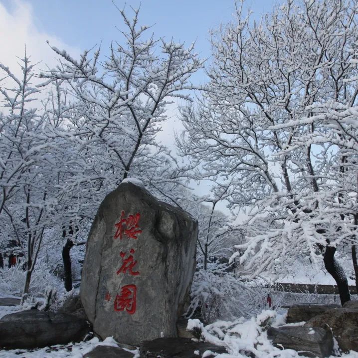 大雪節(jié)氣 | 北京市屬公園往年雪景合集(圖48)