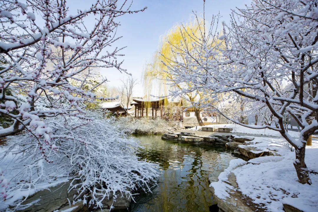 大雪節(jié)氣 | 北京市屬公園往年雪景合集(圖49)