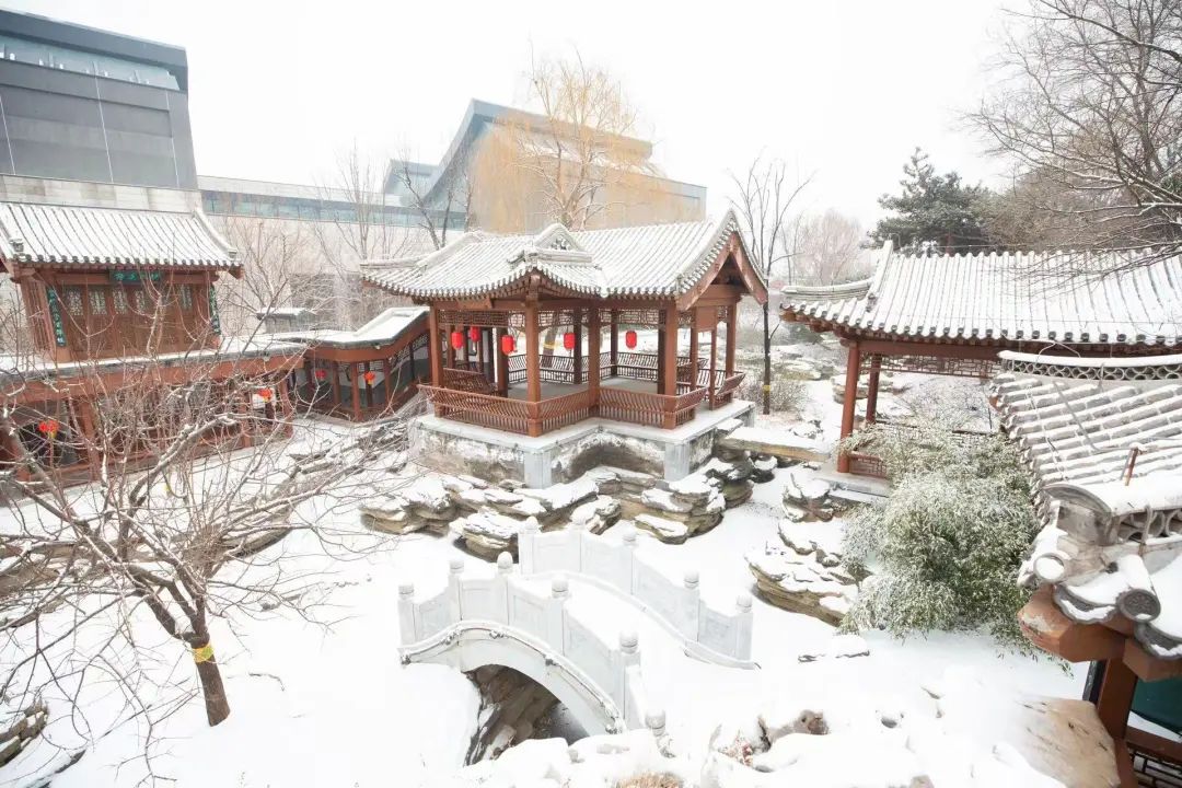 大雪節(jié)氣 | 北京市屬公園往年雪景合集(圖50)