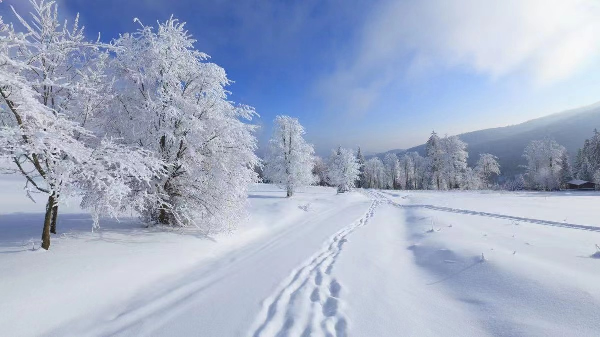 10首大雪詩(shī)詞，江南江北，大雪漫漫，每一首都很美(圖9)
