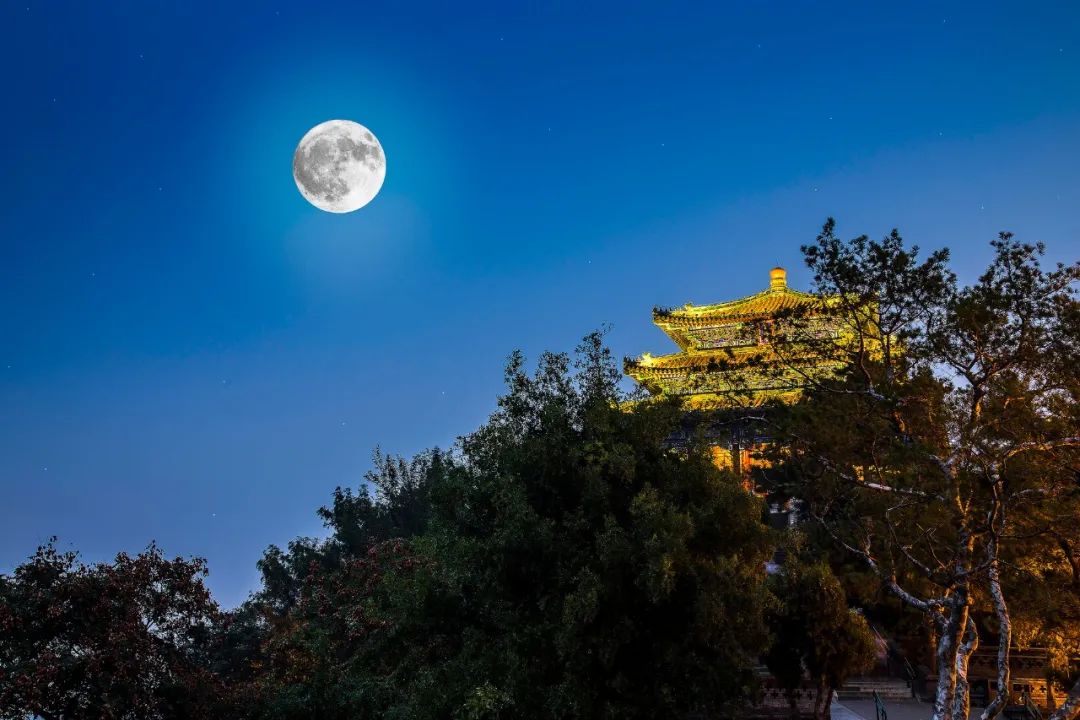 愛(ài)是秩序外的一瞬間(圖17)