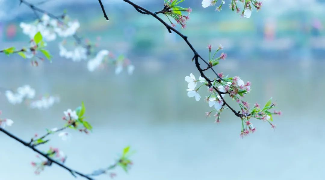 風(fēng)流的他，寫下一首詞，最后14字刺痛無(wú)數(shù)人，連蘇軾也贊嘆不已(圖3)