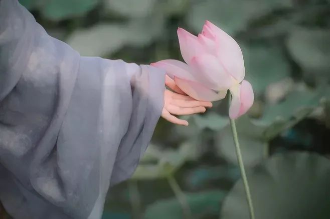 始于初見，終于白頭(圖2)