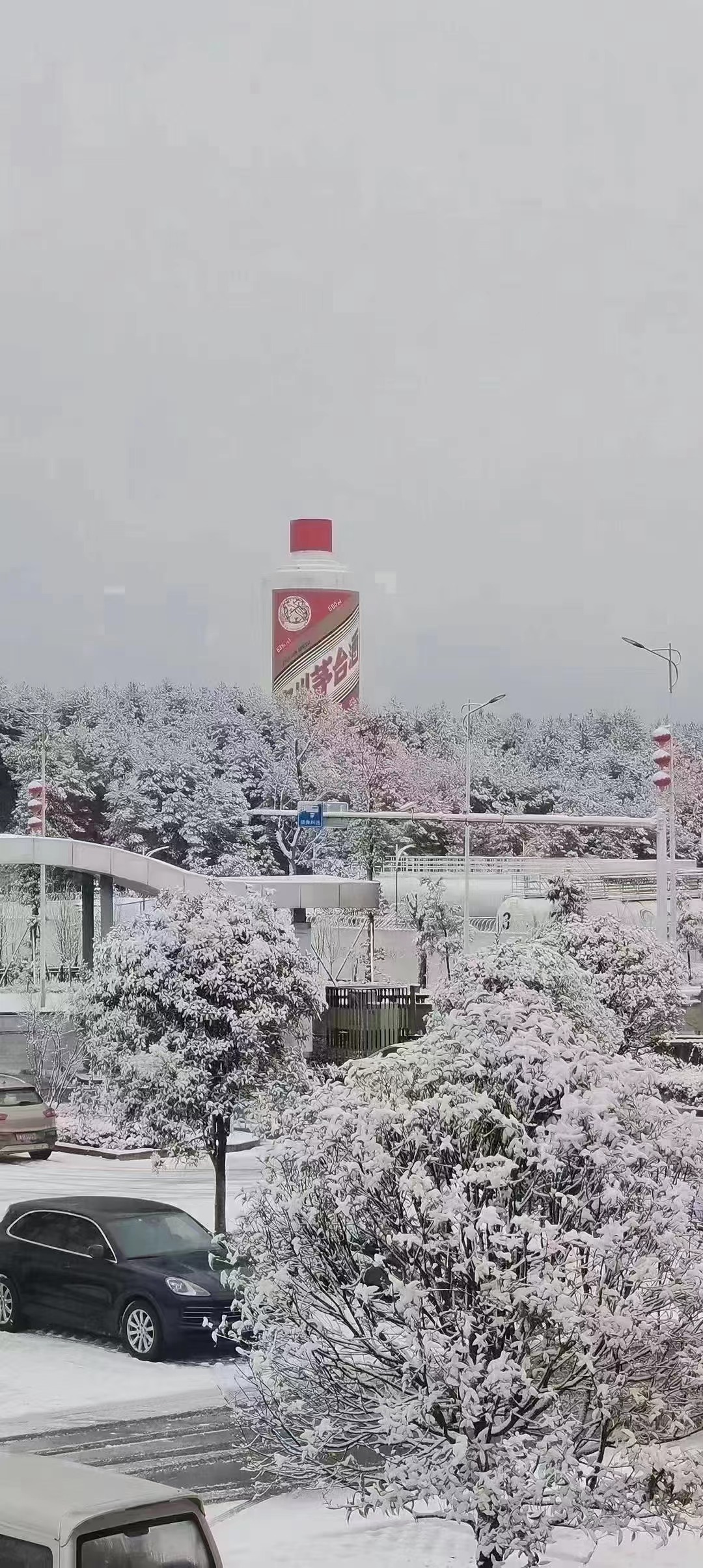 今日茅臺(tái)價(jià)格2024.1.22 飛天上漲！(圖4)
