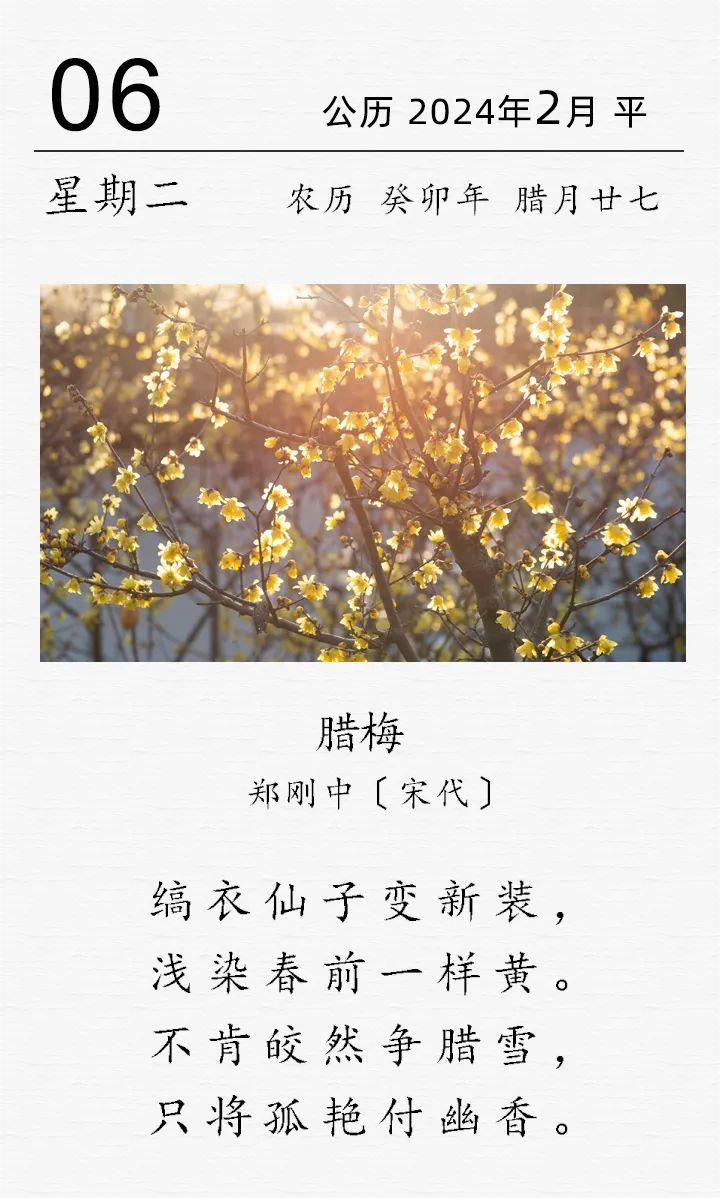 鄭剛中《臘梅》(圖1)