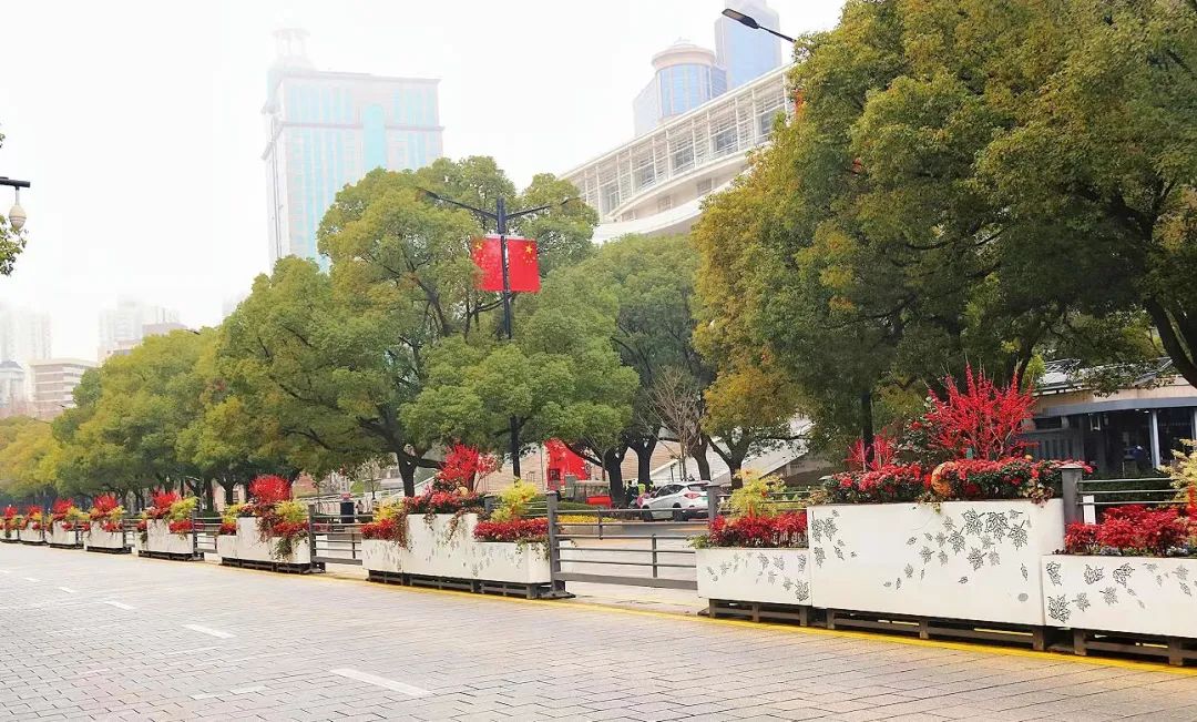 春節(jié)假期將至，上海街頭巷尾處處是花樣“年味”~來賞(圖13)