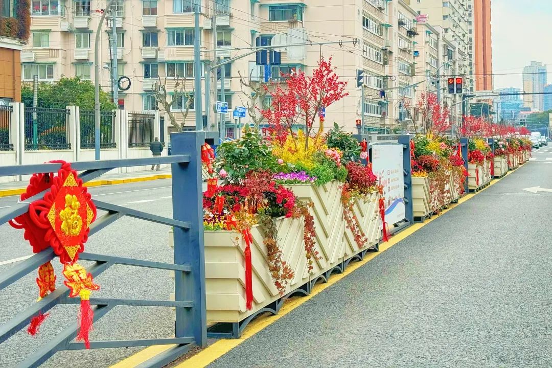 春節(jié)假期將至，上海街頭巷尾處處是花樣“年味”~來賞(圖25)
