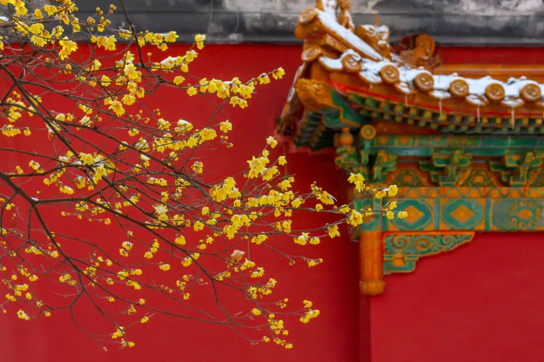 初七人日 | 人壽年豐，祈祥祝安！(圖2)