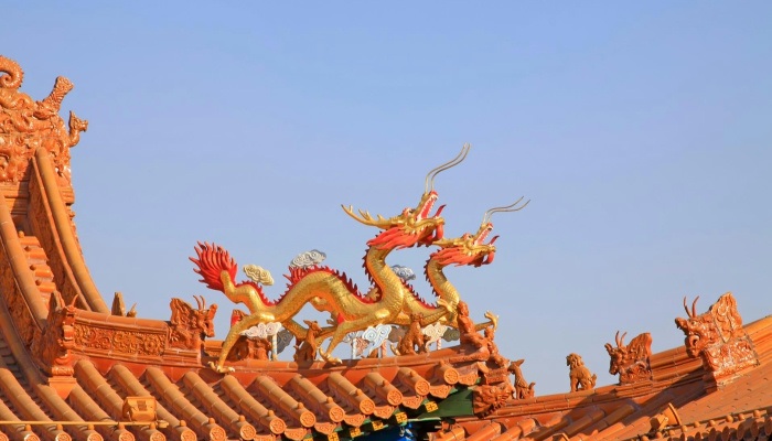 “雙龍?zhí)ь^”更吉祥？做5事沾龍氣(圖1)