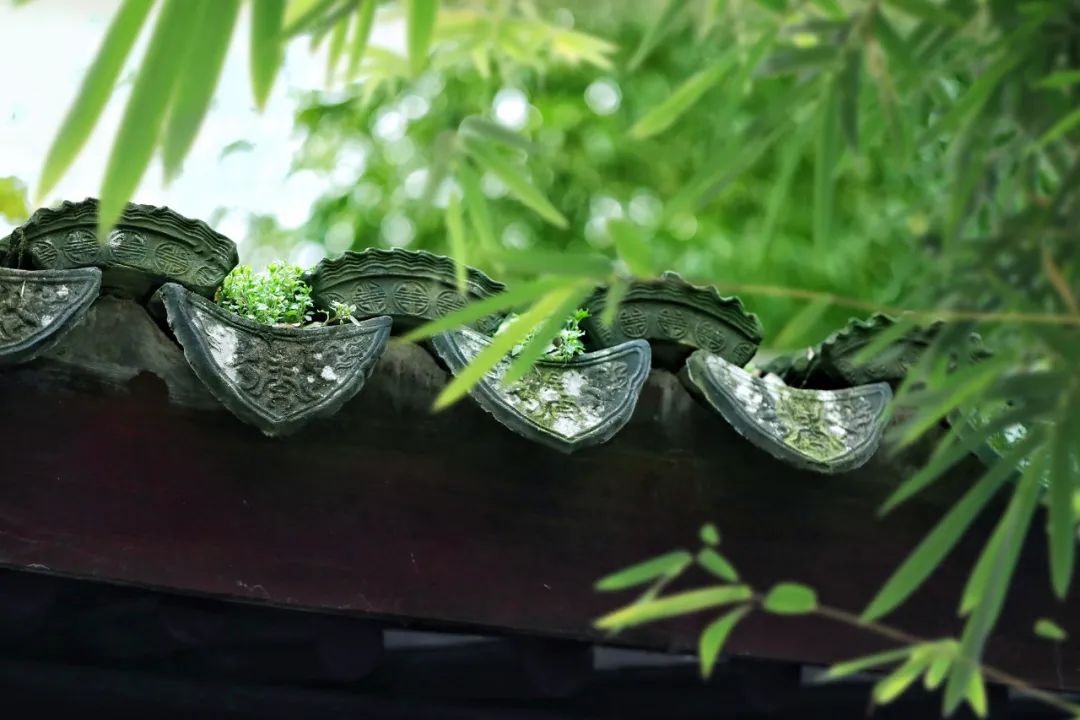一年之計(jì)在于春，莫負(fù)春光莫負(fù)自身(圖3)