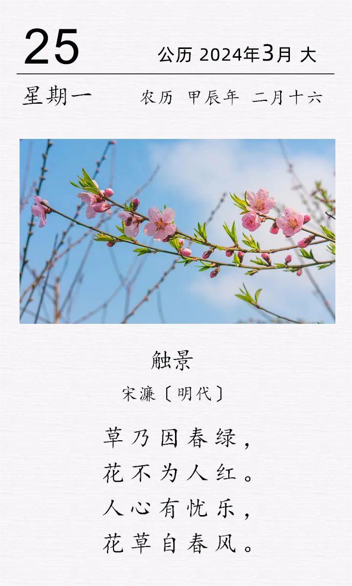 宋濂《觸景》(圖1)