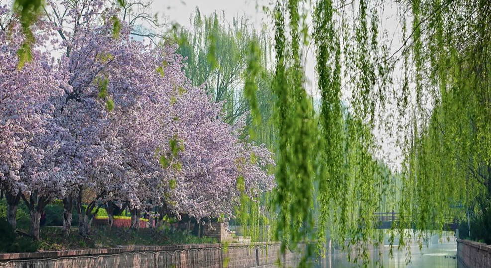 宋濂《觸景》(圖2)