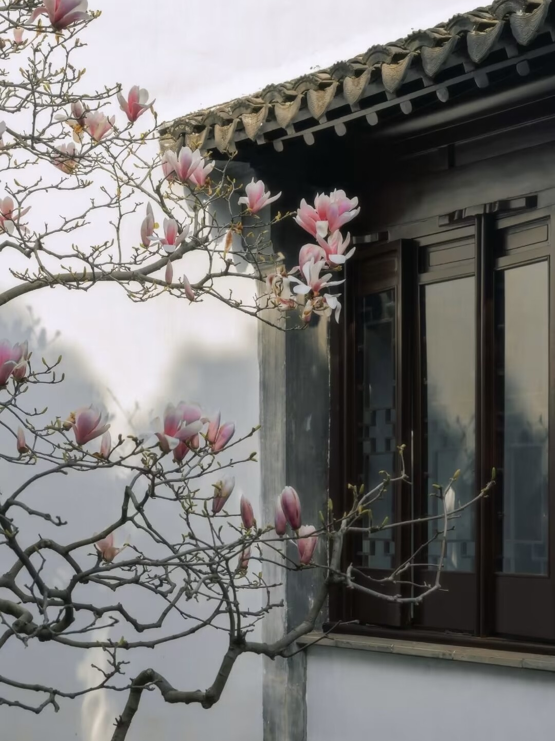 “老人歸去，早有暗示”，老人出現(xiàn)這5個舉動，子女要留意！(圖3)