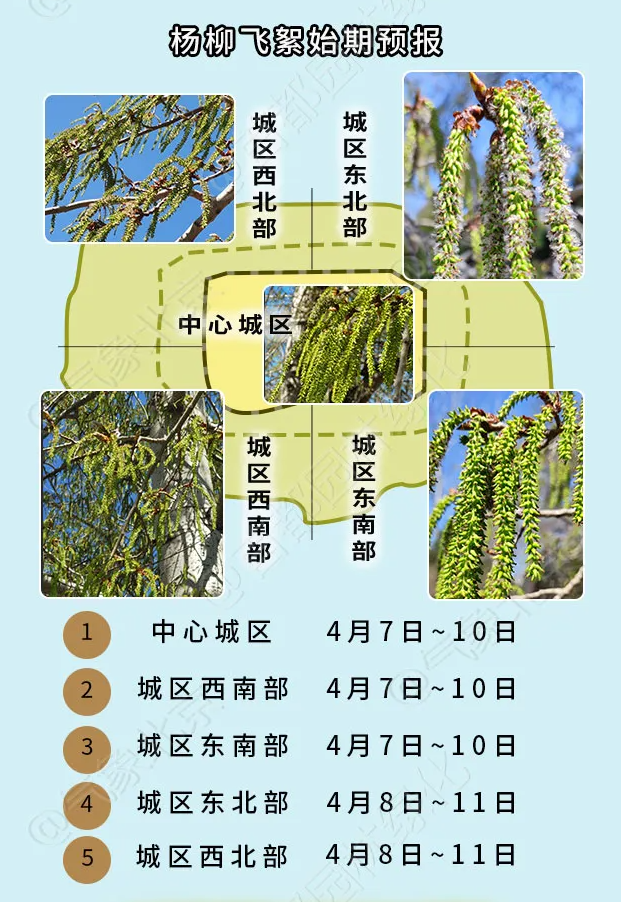 【環(huán)境與健康】進入楊柳飛絮期，如何科學(xué)防護？(圖1)