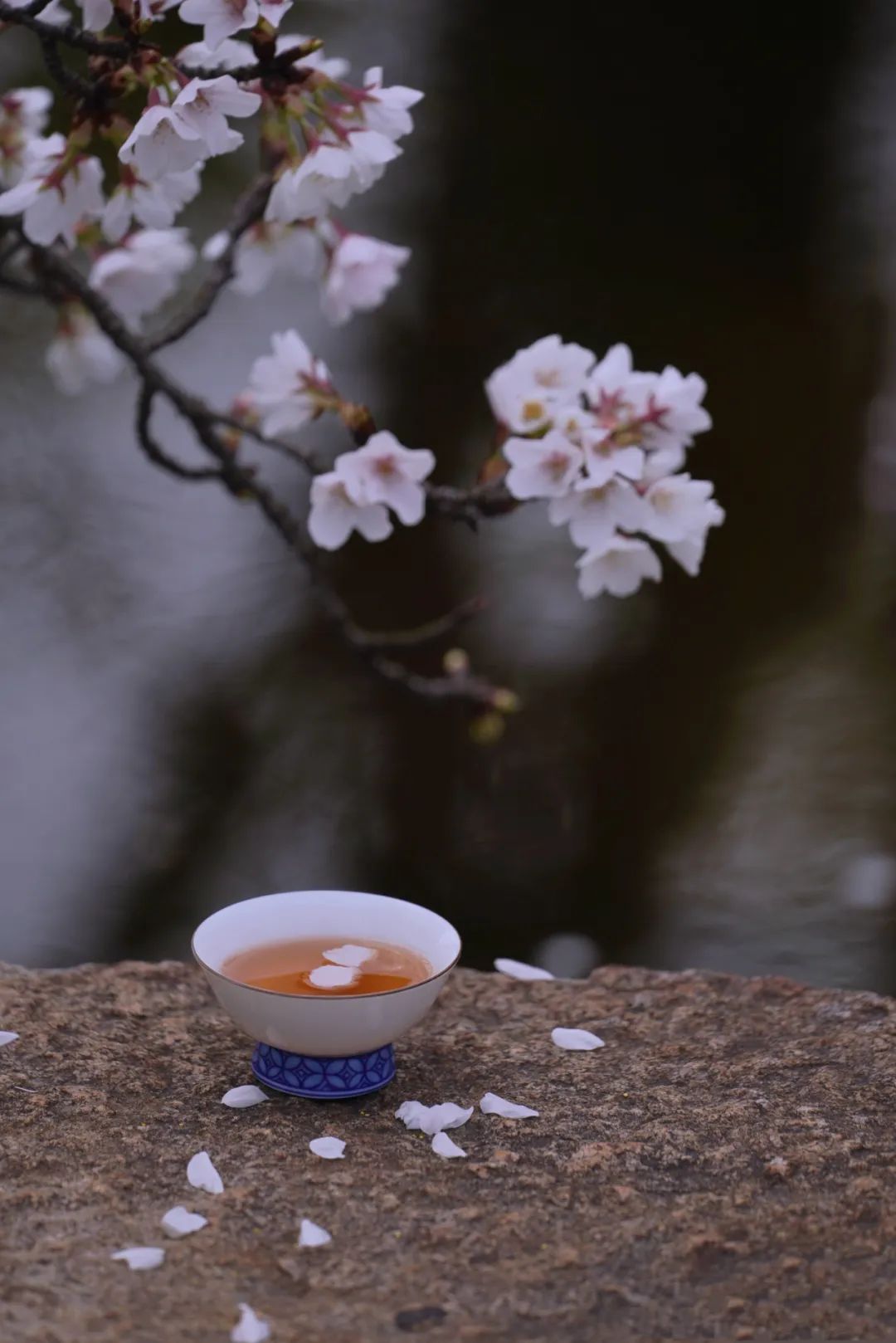 三月三，上巳節(jié)，踏春去！(圖11)