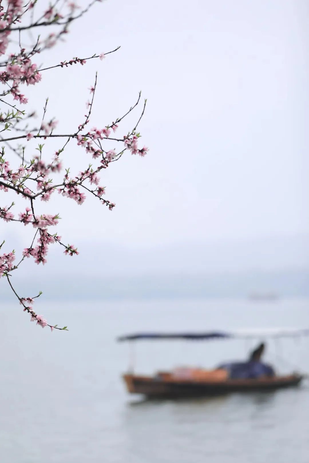 三月三，上巳節(jié)，踏春去！(圖13)