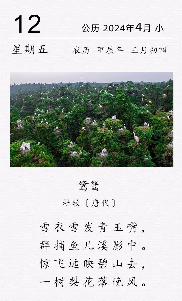 杜牧《鷺鷥》(圖1)