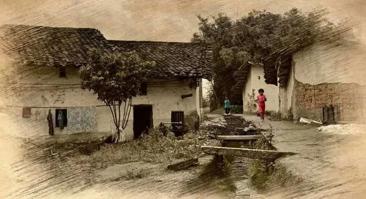 酒有千日好，人無再少年(圖2)