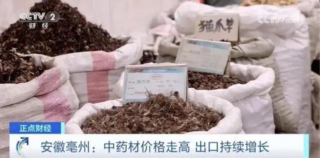 炒黃金竟然不如炒白術(shù)（zhú）？一些藥材已暴漲近十倍！(圖2)