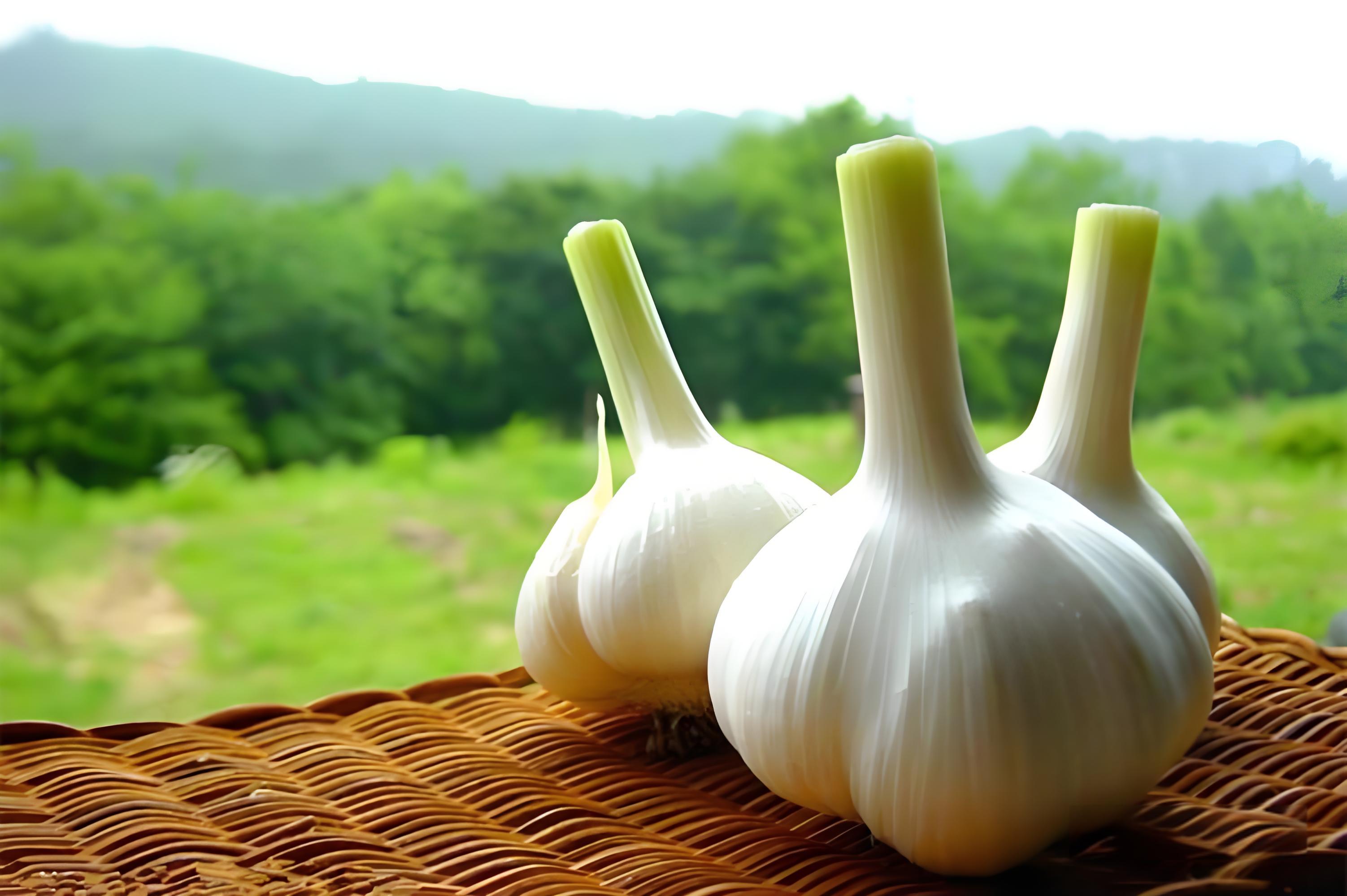 坊間流傳的“換血”食物，常吃血管會(huì)很“開心”，了解下吧(圖3)
