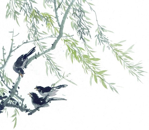 七首暮春詩(shī)詞，清麗唯美，意韻深遠(yuǎn)，道盡繁華與落寞(圖5)