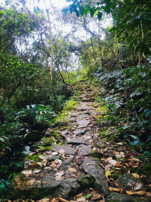 遍地“藍(lán)寶石”！廣西這里成為“五一”最受歡迎的小眾旅游目的地(圖39)