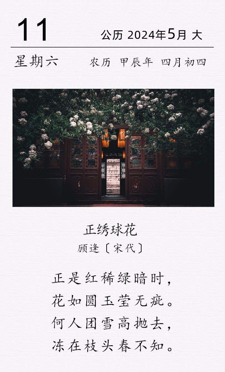 顧逢《正繡球花》.jpg 顧逢《?正繡球花》(圖1)