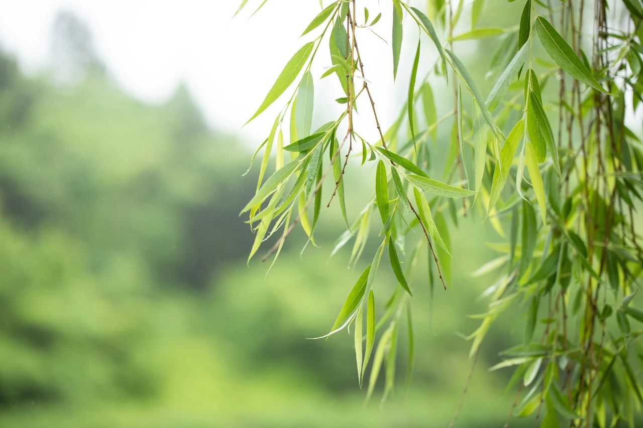 夢里夢外，是你，還是你(圖3)