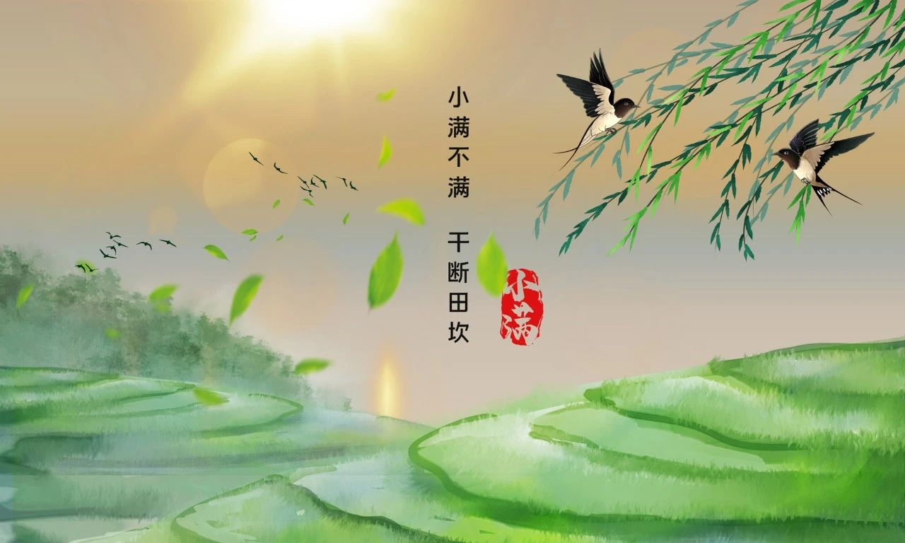 今日小滿｜人生不求太滿，小滿即是圓滿(圖9)