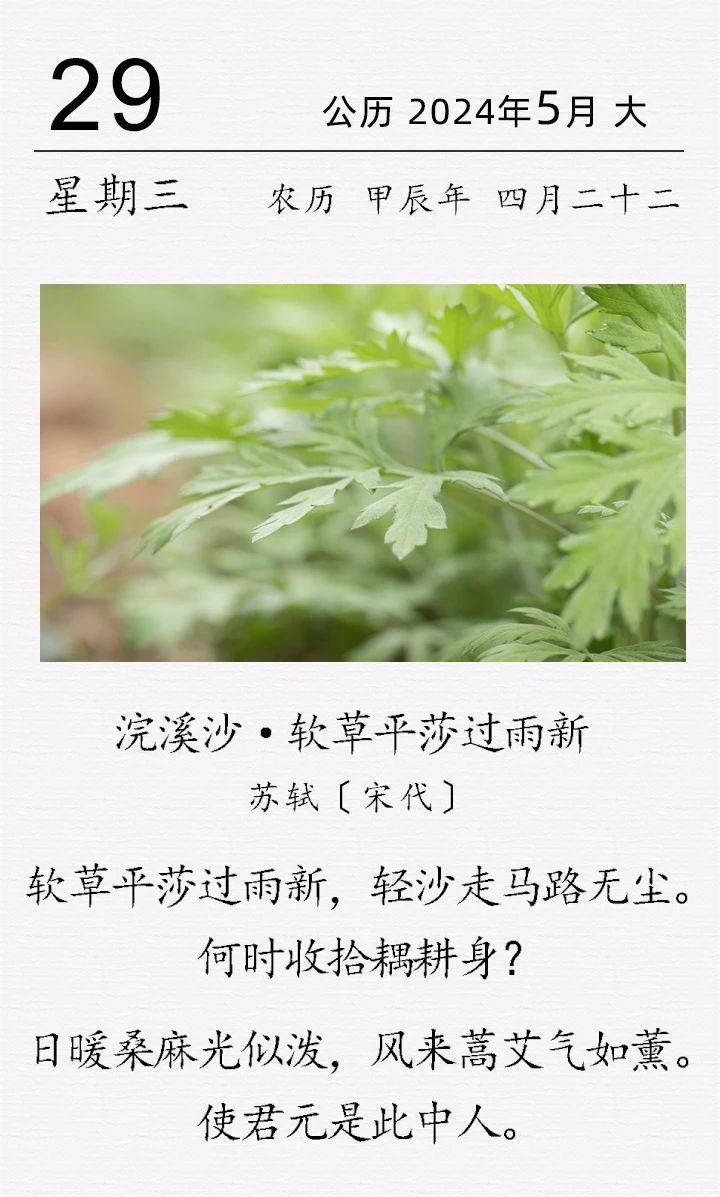 蘇軾《浣溪沙·軟草平莎過雨新》(圖1)
