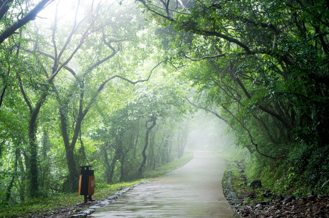 蘇軾《浣溪沙·軟草平莎過雨新》(圖7)