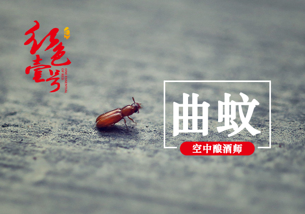 曲為酒之骨(圖5)
