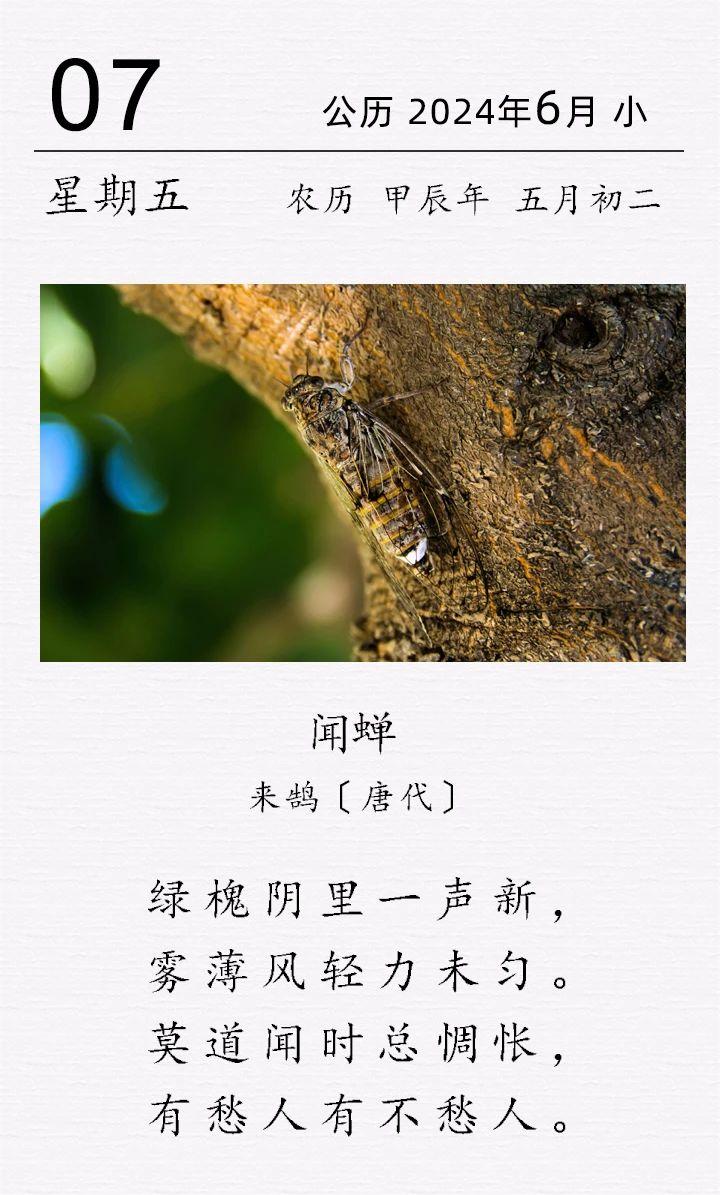 來鵠《聞蟬》(圖1)