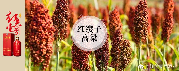 制酒工段之——8道工序(圖1)