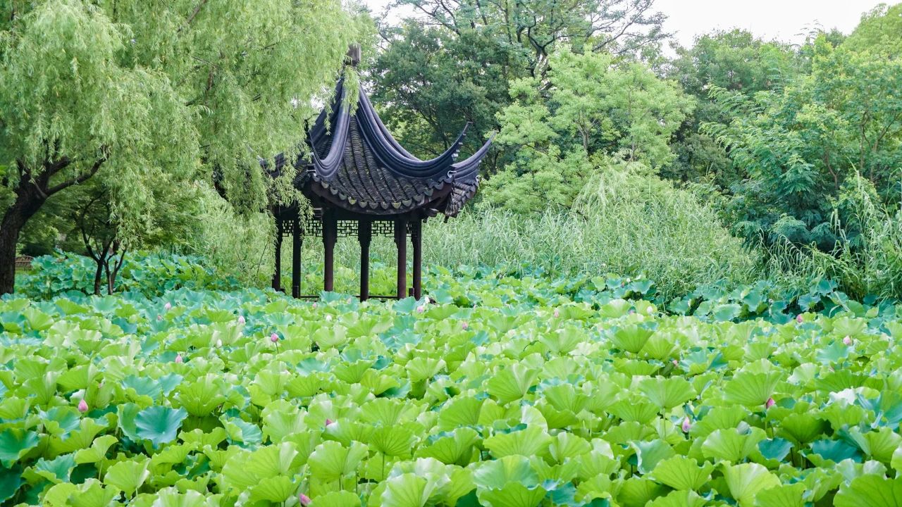 夏日?qǐng)D鑒，有一院子足矣(圖3)