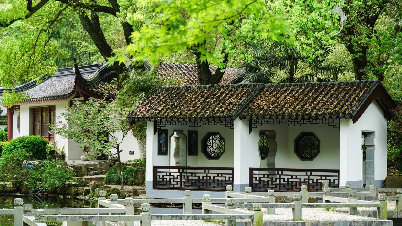 夏日?qǐng)D鑒，有一院子足矣(圖5)