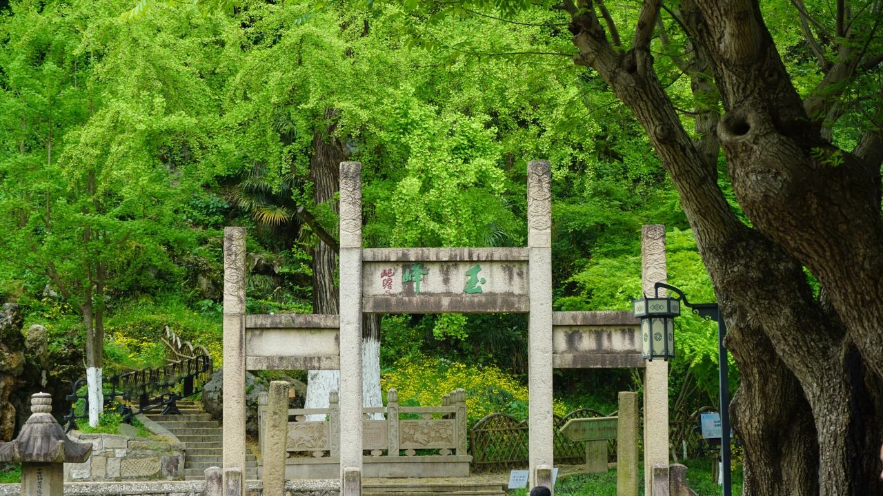 簾動夏風起，心靜自清涼(圖1)