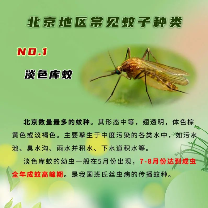 6月17日北京地區(qū)平均蚊蟲叮咬指數(shù)為三級(圖8) 6月17日北京地區(qū)平均蚊蟲叮咬指數(shù)為三級(圖8)