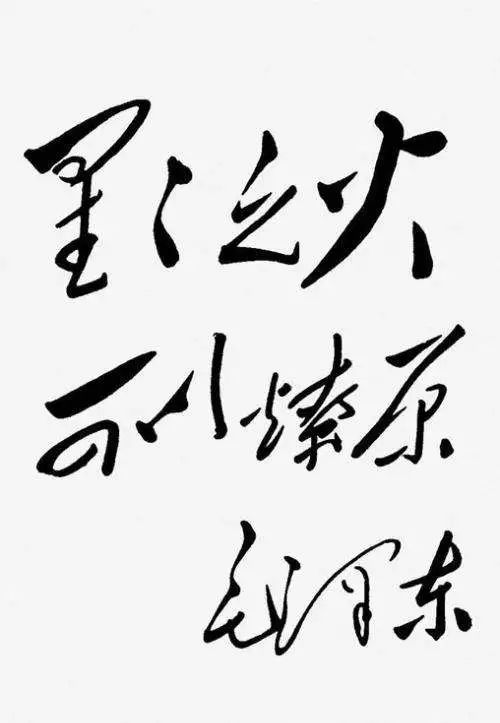美國第一位華人總統(tǒng)即將誕生？中美關(guān)系緩和或成其競選優(yōu)勢(圖7)