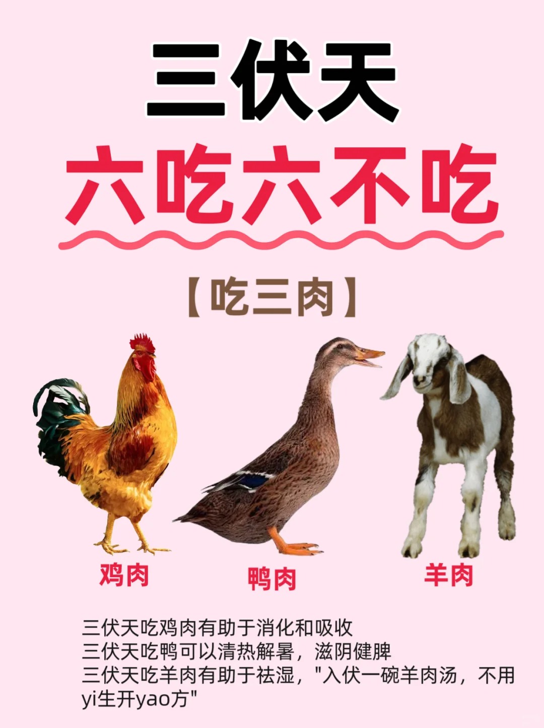 三伏將至?記住6吃??6不吃?(圖1)