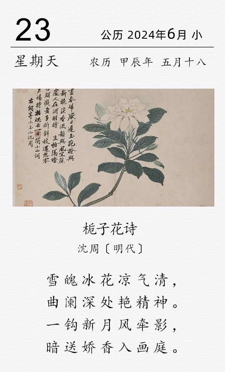 沈周《梔子花詩》.jpg 沈周《梔子花詩》(圖1)