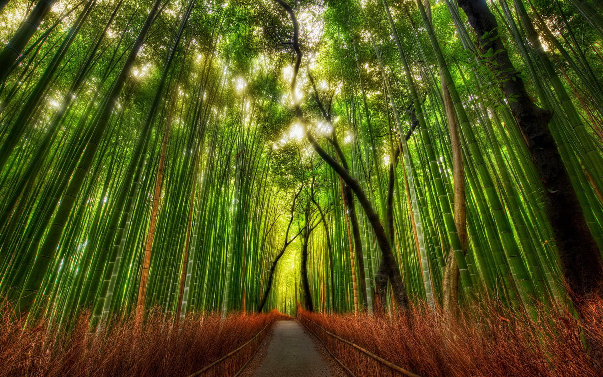 竹林.jpg 李日華《竹》(圖5)