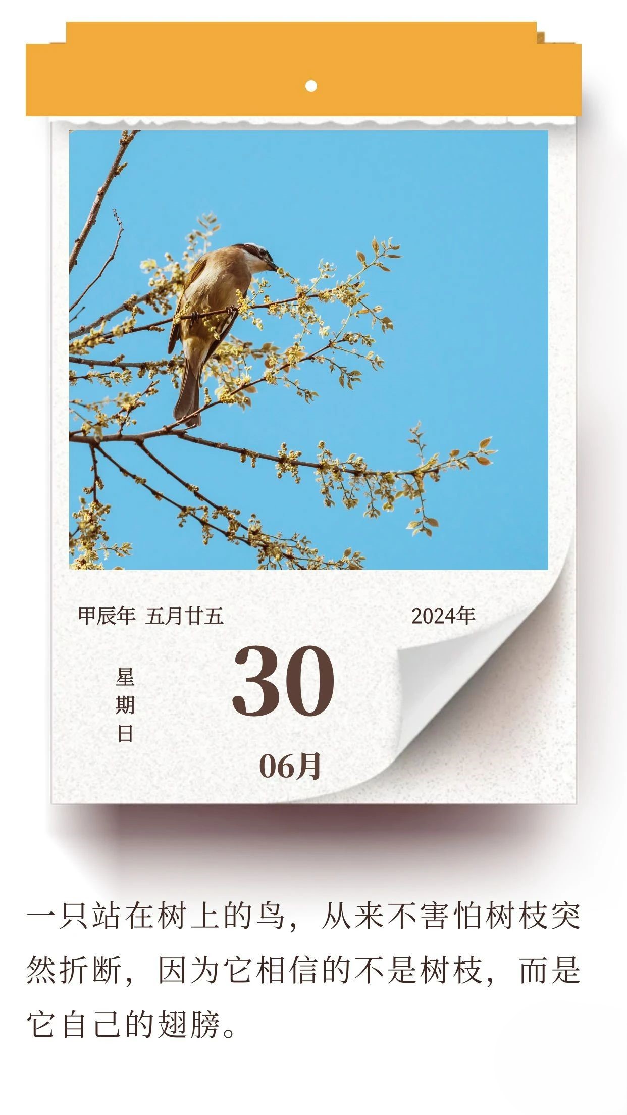 努力提升自己，比依靠他人要更可靠 ???(圖1)
