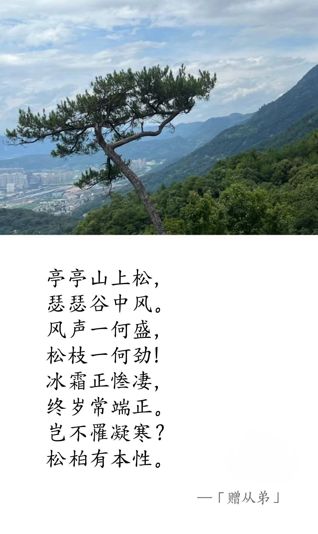 魏晉·劉楨《贈(zèng)從弟》.jpg 魏晉 · 劉楨《贈(zèng)從弟》(圖1)