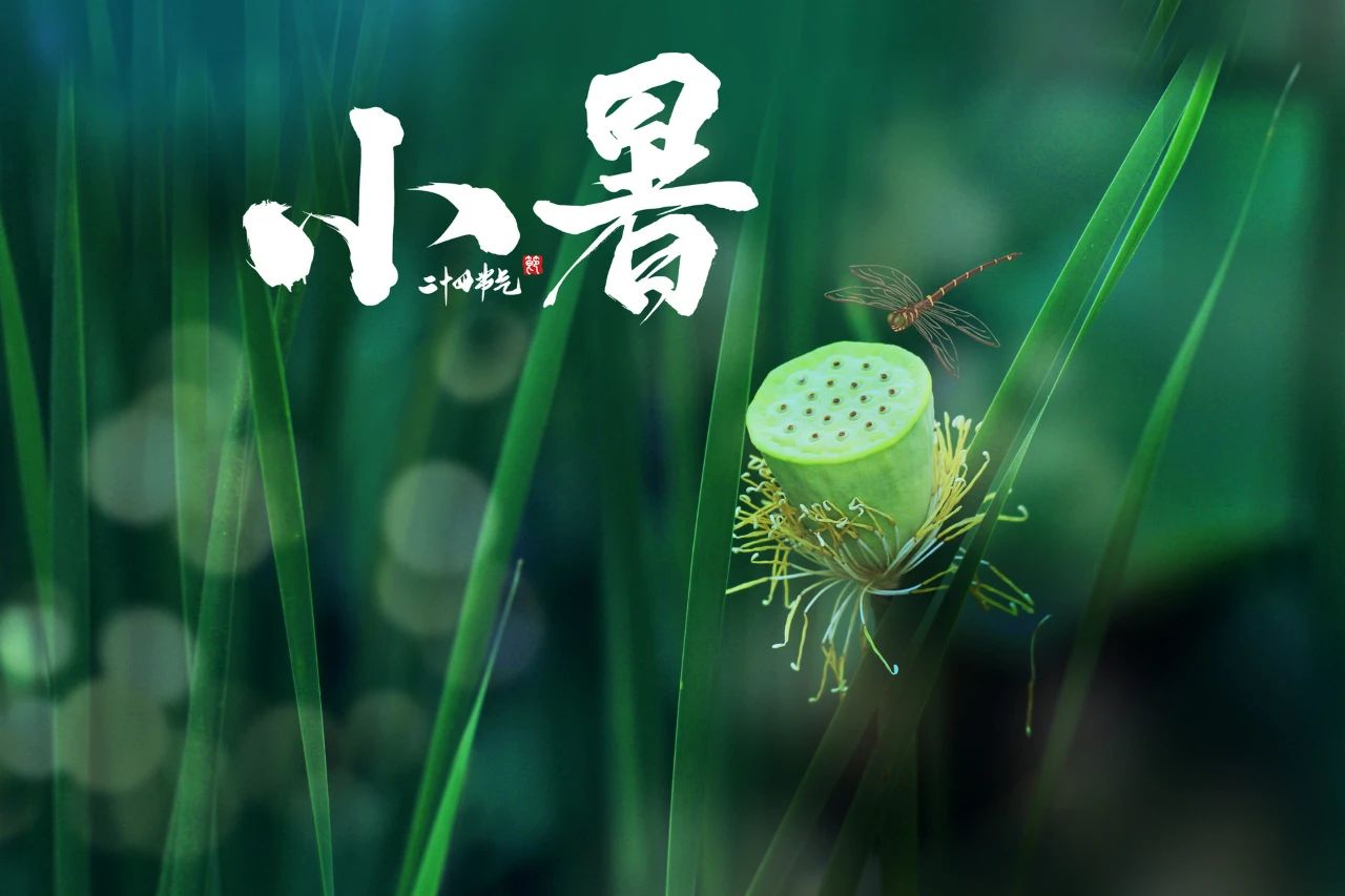 今日小暑，借“天時(shí)”排出體內(nèi)寒氣的最好時(shí)機(jī)，切勿耽擱！(圖11)