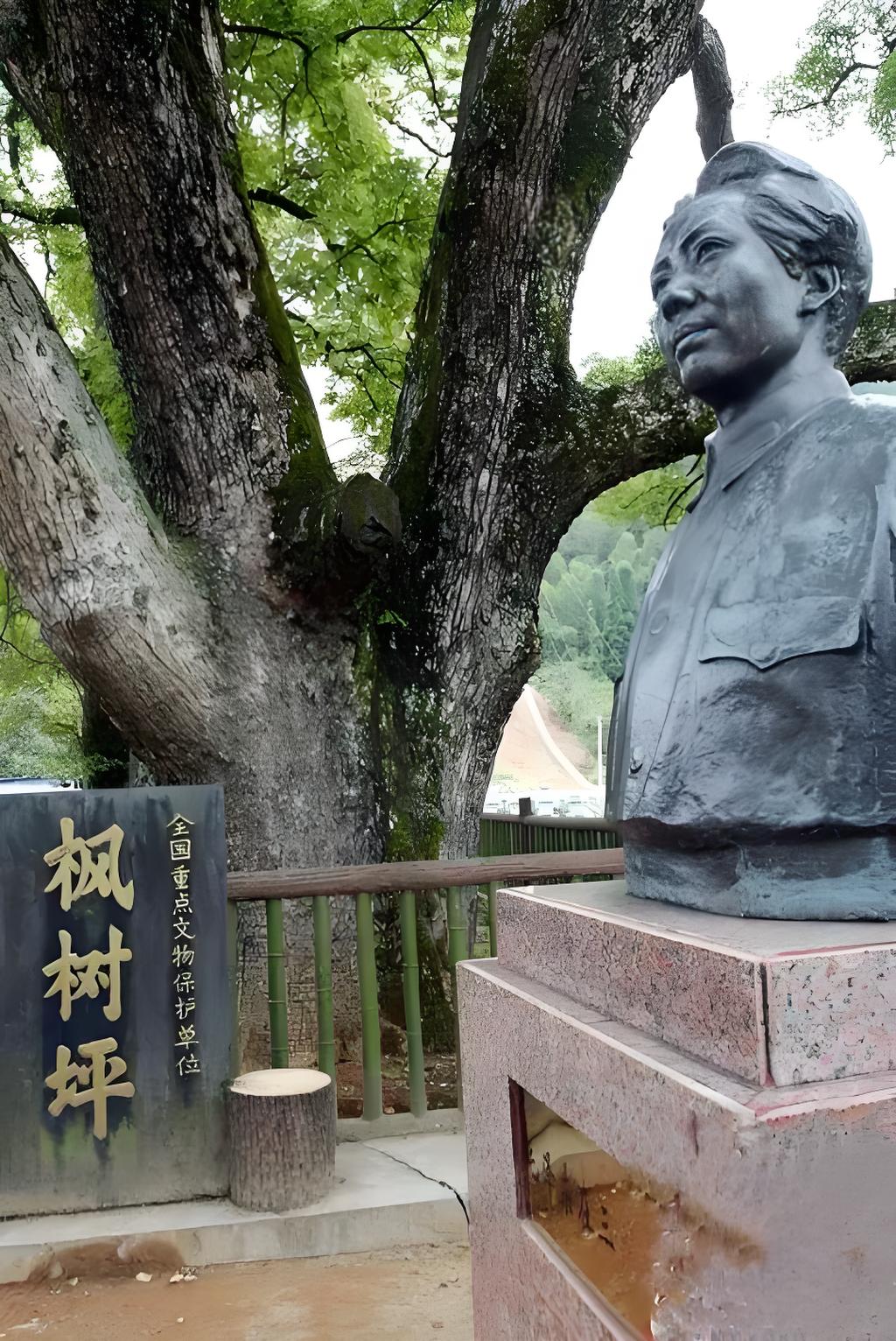 毛澤東大膽提出這個想法，最終形成中國“軍魂”建樹的開端(圖6)