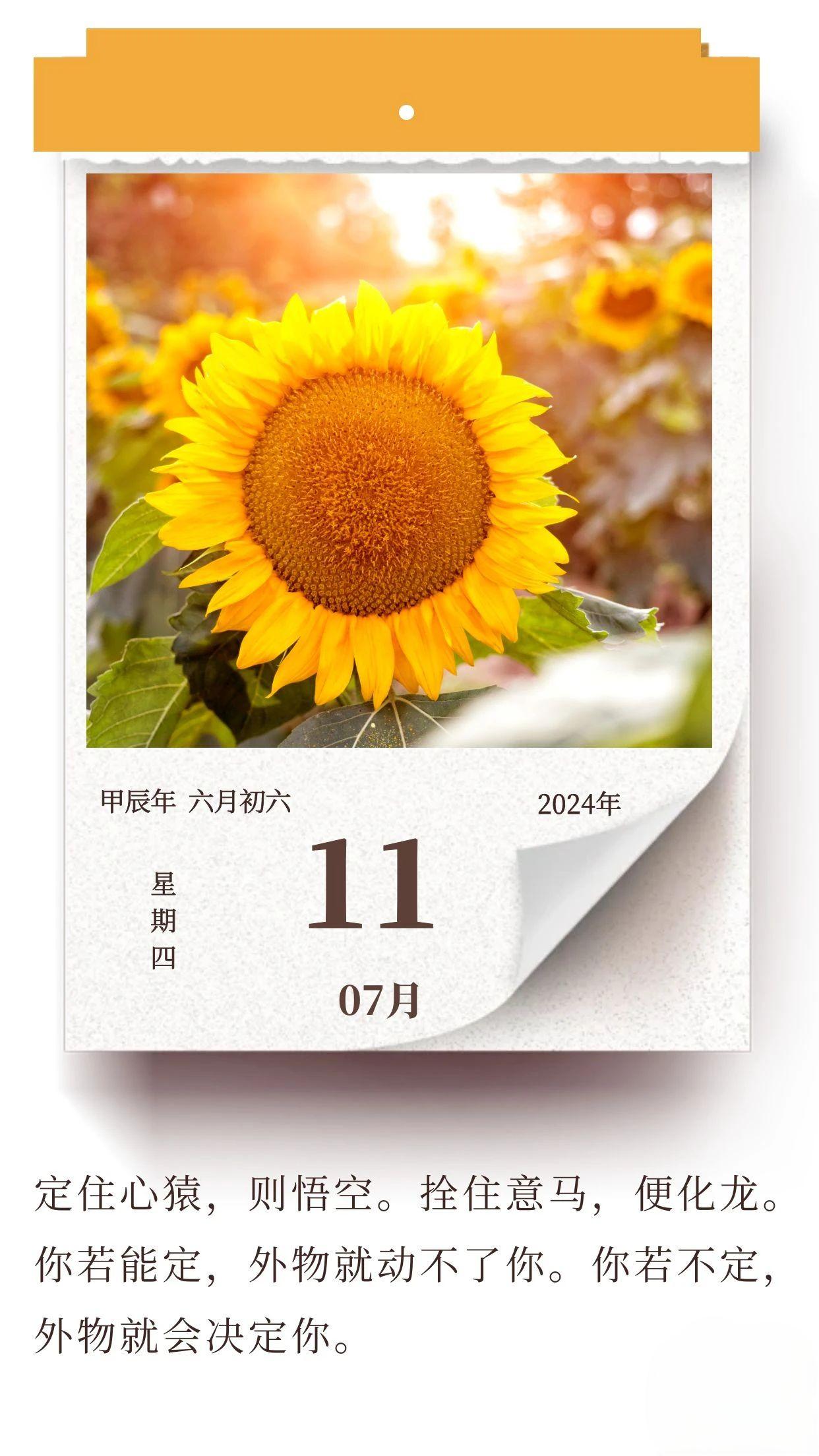學(xué)會沉淀自己，才能活成想要的樣子(圖1)